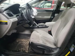 2016 Hyundai Sonata SE with VIN 5NPE24AF0GH288139, listed as a Copart auction lot 50366865 with Not Provided miles and Salvage Title. Bid and sale history available at DreamBid. Image 7.