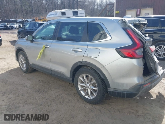 2025 Honda CR-V EX-L with VIN 2HKRS4H78SH403496, listed as a IAAI auction lot 41802900 with 11,589 mi miles and . Bid and sale history available at DreamBid. Image 3.