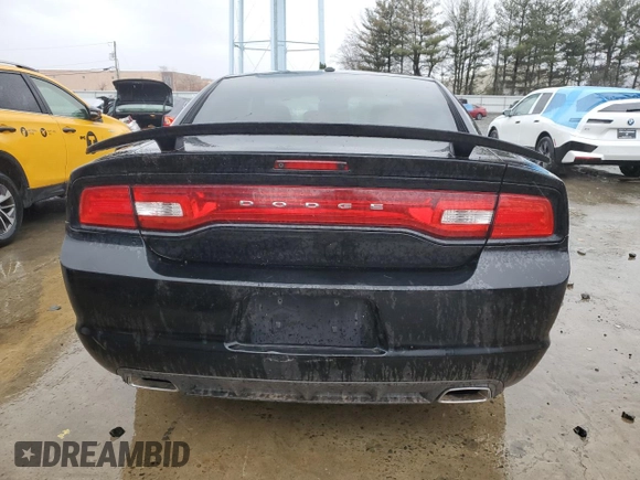 2013 Dodge Charger RT Plus with VIN 2C3CDXDT8DH602083, listed as a Copart auction lot 47822725 with 114,777 mi miles and Clean Title. Bid and sale history available at carsss.com. Image 6.
