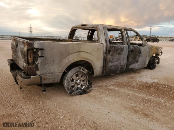 2010 Ford F-150 XL with VIN 1FTEW1C87AFD42927, listed as a Copart auction lot 83793654 with 0 mi miles and Non Repairable. Bid and sale history available at carsss.com. Image 3.