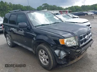 2010 Ford Escape Limited with VIN 1FMCU0E78AKA62013, listed as a IAAI auction lot 42426819 with 196,842 mi miles and . Bid and sale history available at DreamBid. Image 1.