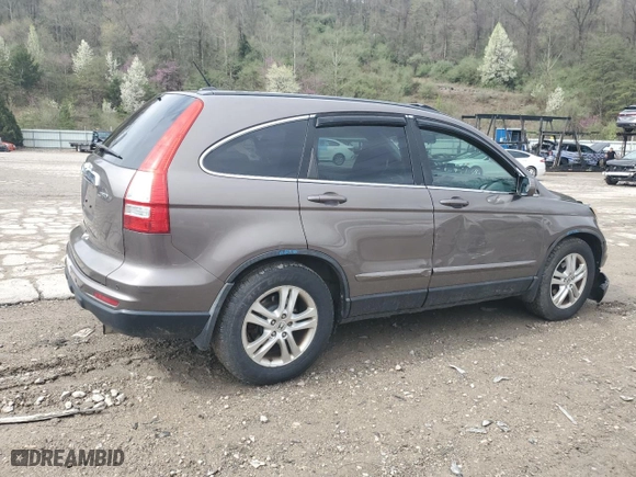 2010 Honda CR-V EX-L with VIN 5J6RE4H79AL071029, listed as a Copart auction lot 50167495 with 121,470 mi miles and Salvage Title. Bid and sale history available at carsss.com. Image 3.