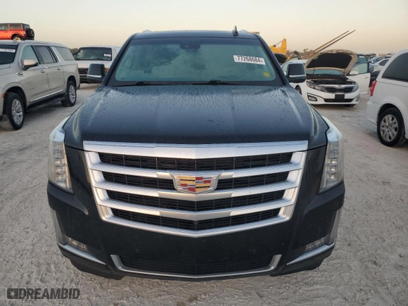 2016 Cadillac Escalade Luxury Collection with VIN 1GYS3BKJ6GR325012, listed as a Copart auction lot 77268684 with 0 mi miles and Salvage Title. Bid and sale history available at carsss.com. Image 5.