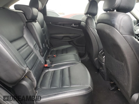 2016 Kia Sorento EX with VIN 5XYPH4A59GG049811, listed as a Copart auction lot 48204195 with 224,217 mi miles and Clean title. Bid and sale history available at DreamBid. Image 11.