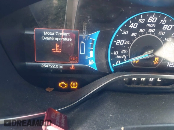 2013 Ford C-Max SE with VIN 1FADP5AU9DL556619, listed as a IAAI auction lot 42140929 with 254,722 mi miles. Bid and sale history available at carsss.com. Image 7.