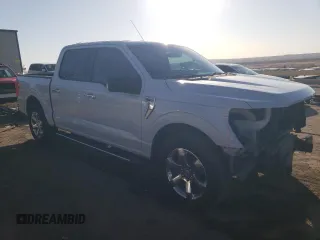 2021 Ford F-150 XL with VIN 1FTEW1CP5MKD55565, listed as a Copart auction lot 46703085 with 109,734 mi miles and Salvage Title. Bid and sale history available at carsss.com. Image 4.