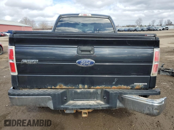 2013 Ford F-150 XL with VIN 1FTEX1CM4DFA97115, listed as a Copart auction lot 49899335 with Not Provided miles and Salvage Title. Bid and sale history available at carsss.com. Image 6.