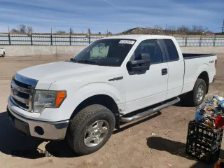2014 Ford F-150 XL with VIN 1FTFX1EF7EFB88139, listed as a Copart auction lot 47197025 with 170,819 mi miles and Salvage title. Bid and sale history available at DreamBid. Image 1.