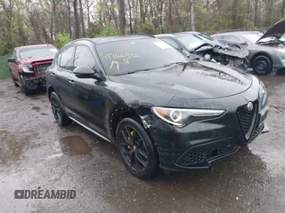 2019 Alfa Romeo Stelvio z VIN ZASPAKAN6K7C69221, wystawiony jako IAAI lot #41966926 z przebiegiem 47 578 mil mil oraz . Historia ofert i sprzedaży dostępna na DreamBid. Obrazek 1.