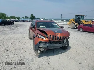 2014 Jeep Cherokee Trailhawk with VIN 1C4PJMBS0EW308775, listed as a Copart auction lot 60465125 with 117,326 mi miles and Salvage title. Bid and sale history available at DreamBid. Image 15.