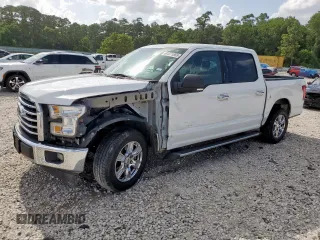 2017 Ford F-150 XL with VIN 1FTEW1C80HFB77877, listed as a Copart auction lot 61271855 with 189,185 mi miles and Salvage title. Bid and sale history available at DreamBid. Image 1.