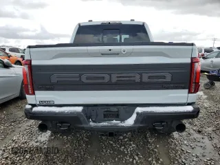 2024 Ford F-150 Raptor with VIN 1FTFW1RGXRFB06240, listed as a Copart auction lot 48020095 with Not Provided miles and Salvage Title. Bid and sale history available at DreamBid. Image 6.
