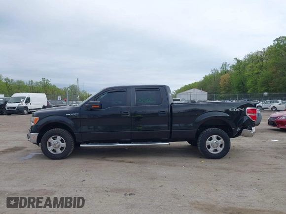 2013 Ford F-150 XL with VIN 1FTFW1EF0DFC53186, listed as a IAAI auction lot 42086254 with 172,075 mi miles. Bid and sale history available at carsss.com. Image 14.