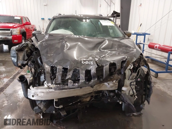 2016 Jeep Cherokee Limited with VIN 1C4PJMDS3GW296279, listed as a IAAI auction lot 41914810 with 124,886 mi miles and . Bid and sale history available at DreamBid. Image 6.