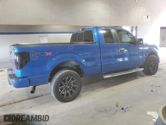2010 Ford F-150 XL with VIN 1FTEX1CW1AFD49058, listed as a Copart auction lot 61545945 with 177,041 mi miles and Clean title. Bid and sale history available at DreamBid. Image 3.