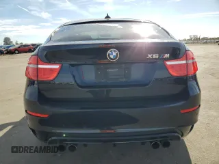 2010 BMW X6 M with VIN 5YMGZ0C50ALK13565, listed as a Copart auction lot 81646874 with 125,113 mi miles and Salvage Title. Bid and sale history available at carsss.com. Image 6.