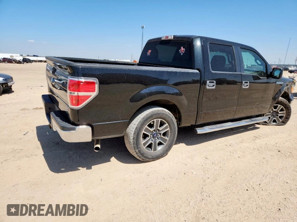2010 Ford F-150 XL with VIN 1FTEW1C86AFC56413, listed as a Copart auction lot 61371355 with 251,151 mi miles and Salvage title. Bid and sale history available at DreamBid. Image 3.