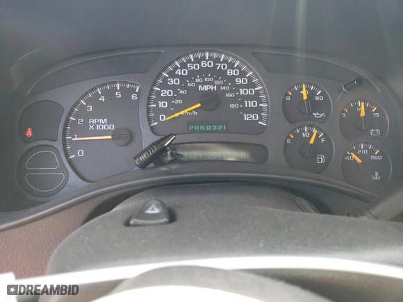 2004 Chevrolet Silverado 1500 LS with VIN 1GCEC14VX4Z171221, listed as a Copart auction lot 78542024 with 254,153 mi miles and Salvage Title. Bid and sale history available at carsss.com. Image 9.