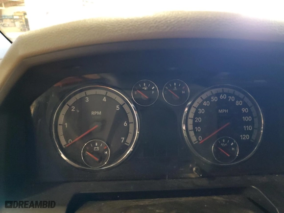2010 Dodge Ram 1500 SLT with VIN 1D7RV1CT5AS154106, listed as a Copart auction lot 49603705 with 0 mi miles and Non Repairable. Bid and sale history available at carsss.com. Image 9.