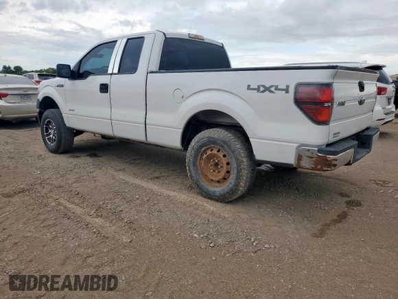 2012 Ford F-150 XL with VIN 1FTFX1ET2CFD02180, listed as a Copart auction lot 61810405 with 218,459 mi miles and Clean title. Bid and sale history available at DreamBid. Image 2.