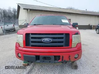 2010 Ford F-150 XL with VIN 1FTFX1EV3AFB15710, listed as a IAAI auction lot 41588363 with 178,529 mi miles and . Bid and sale history available at DreamBid. Image 12.