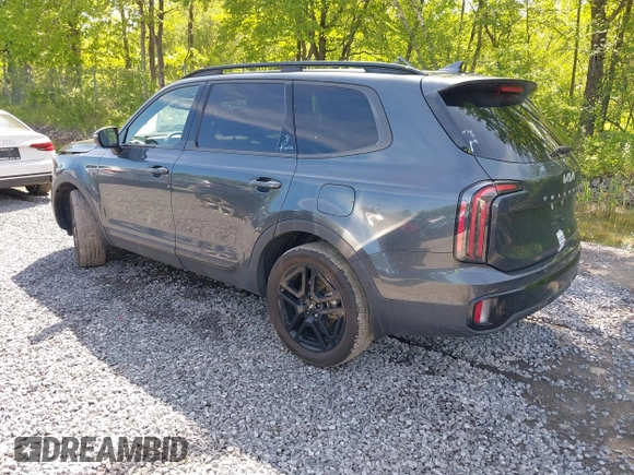 2024 Kia Telluride EX X-Line with VIN 5XYP3DGC9RG539740, listed as a IAAI auction lot 42330422 with 28,216 mi miles and . Bid and sale history available at DreamBid. Image 3.