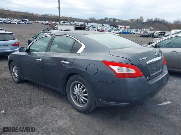 2009 Nissan Maxima 3.5 SV w/Sport Pkg with VIN 1N4AA51E19C853520, listed as a IAAI auction lot 41972778 with 172,981 mi miles. Bid and sale history available at carsss.com. Image 3.