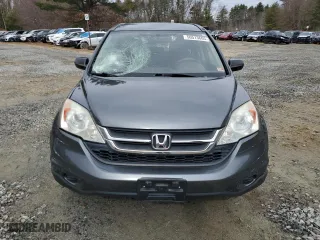 2010 Honda CR-V LX with VIN 5J6RE4H34AL023340, listed as a Copart auction lot 50513605 with 123,459 mi miles and Clean Title. Bid and sale history available at carsss.com. Image 5.