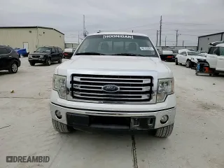 2013 Ford F-150 XL with VIN 1FTFW1CT0DKE69667, listed as a Copart auction lot 46182965 with 206,382 mi miles and Clean Title. Bid and sale history available at carsss.com. Image 14.
