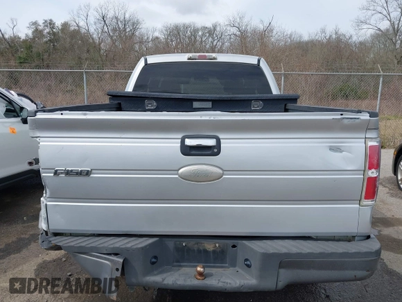 2009 Ford F-150 STX with VIN 1FTRX12W09FA01525, listed as a IAAI auction lot 41675894 with 245,793 mi miles. Bid and sale history available at carsss.com. Image 8.