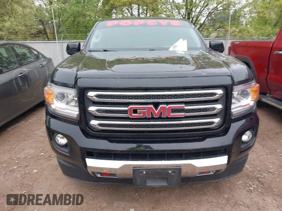 2017 GMC Canyon 4WD SLE z VIN 1GTG6CEN9H1140962, wystawiony jako IAAI lot #42251320 z przebiegiem 142 099 mil mil oraz . Historia ofert i sprzedaży dostępna na DreamBid. Obrazek 12.