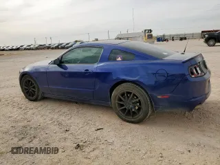 2014 Ford Mustang V6 with VIN 1ZVBP8AM2E5215150, listed as a Copart auction lot 56136135 with 189,225 mi miles and Salvage title. Bid and sale history available at DreamBid. Image 2.