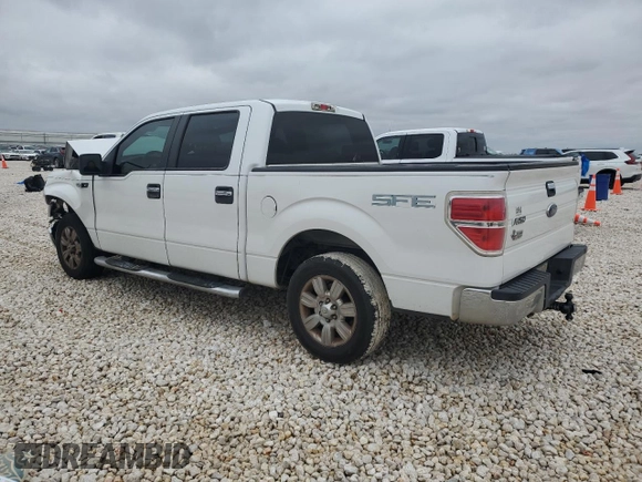 2009 Ford F-150 XL with VIN 1FTRW12859FA38350, listed as a Copart auction lot 44960265 with 145,502 mi miles and Salvage Title. Bid and sale history available at carsss.com. Image 2.