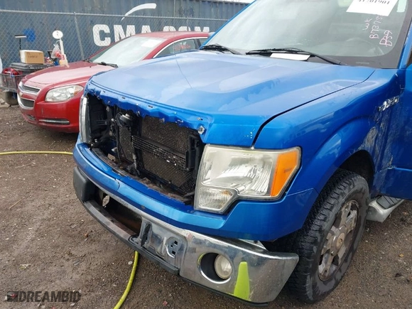 2010 Ford F-150 XL with VIN 1FTEX1CWXAFB73756, listed as a IAAI auction lot 41701901 with 420,808 mi miles. Bid and sale history available at carsss.com. Image 6.