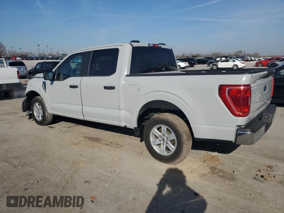 2023 Ford F-150 XL with VIN 1FTEW1C80PKD44468, listed as a Copart auction lot 50555375 with 49,411 mi miles and Clean title. Bid and sale history available at DreamBid. Image 2.