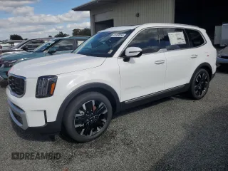 2024 Kia Telluride SX X-Line with VIN 5XYP5DGC2RG549861, listed as a Copart auction lot 81033054 with 24 mi miles and Salvage Title. Bid and sale history available at carsss.com. Image 1.