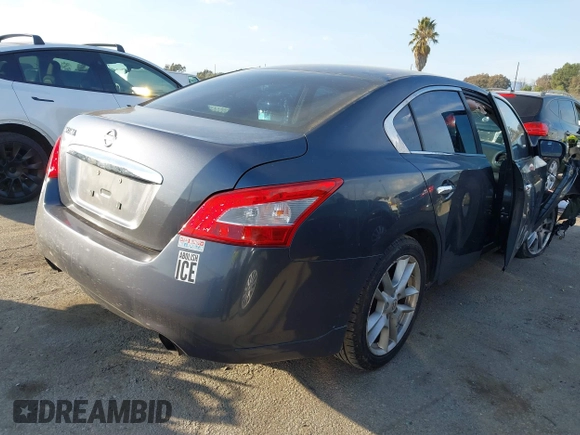 2009 Nissan Maxima SV with VIN 1N4AA51E89C827075, listed as a IAAI auction lot 41551131 with 203,304 mi miles and . Bid and sale history available at DreamBid. Image 4.