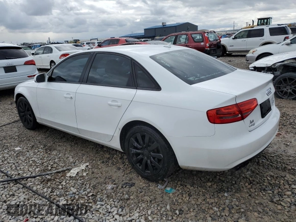2014 Audi A4 Premium with VIN WAUBFAFL5EN029502, listed as a Copart auction lot 53339755 with 120,864 mi miles and Salvage Title. Bid and sale history available at carsss.com. Image 2.