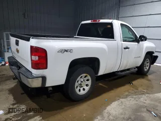 2012 Chevrolet Silverado 1500 Work Truck with VIN 1GCNKPEA5CZ138112, listed as a Copart auction lot 46176025 with 29,871 mi miles and Salvage Title. Bid and sale history available at DreamBid. Image 3.