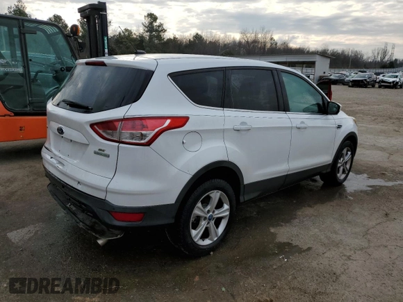 2013 Ford Escape SE with VIN 1FMCU0GX8DUA80369, listed as a Copart auction lot 43804515 with 125,264 mi miles and Salvage Title. Bid and sale history available at DreamBid. Image 3.