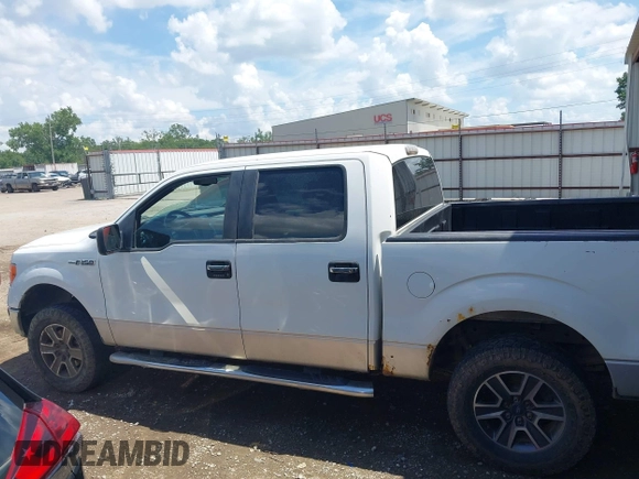 2010 Ford F-150 XL z VIN 1FTFW1EV8AKE64727, wystawiony jako IAAI lot #42569205 z przebiegiem 162 325 mil mil oraz . Historia ofert i sprzedaży dostępna na DreamBid. Obrazek 14.