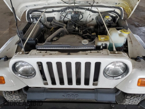 2002 Jeep Wrangler SE with VIN 1J4FA29P12P700276, listed as a Copart auction lot 45109175 with 115,139 mi miles and Salvage Title. Bid and sale history available at DreamBid. Image 11.