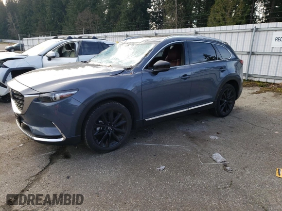 2023 Mazda CX-9 Grand Touring with VIN JM3TCBDY5P0643039, listed as a Copart auction lot 89269505 with Not Provided miles and Salvage Title. Bid and sale history available at carsss.com. Image 1.