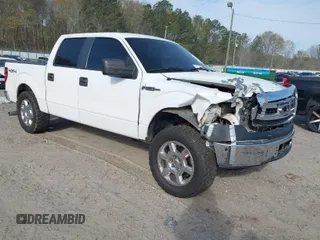 2013 Ford F-150 XL with VIN 1FTFW1EF5DKF15114, listed as a IAAI auction lot 41883457 with 260,600 mi miles. Bid and sale history available at carsss.com. Image 1.