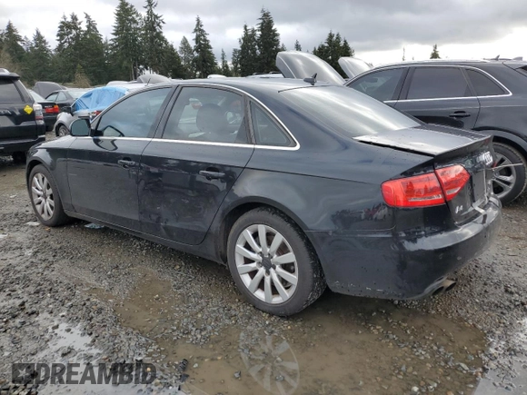 2009 Audi A4 with VIN WAULF68K79N017699, listed as a Copart auction lot 87635845 with Not provided miles and Salvage title. Bid and sale history available at DreamBid. Image 2.