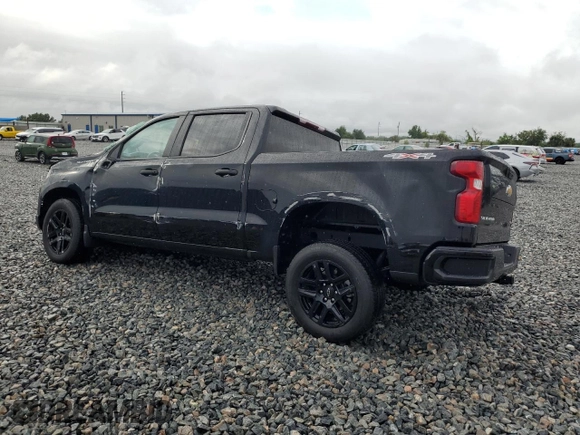 2024 Chevrolet Silverado 1500 Custom with VIN 3GCPDBEK4RG255834, listed as a Copart auction lot 52212395 with 8,945 mi miles and Salvage Title. Bid and sale history available at DreamBid. Image 2.