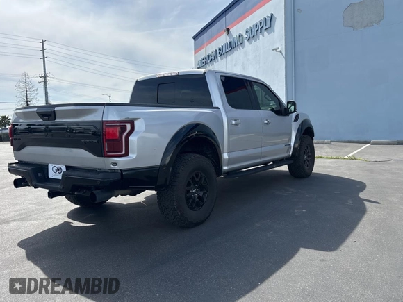 2017 Ford F-150 Raptor with VIN 1FTFW1RG9HFC17974, listed as a Copart auction lot 48812925 with 50,406 mi miles and Clean Title. Bid and sale history available at carsss.com. Image 4.