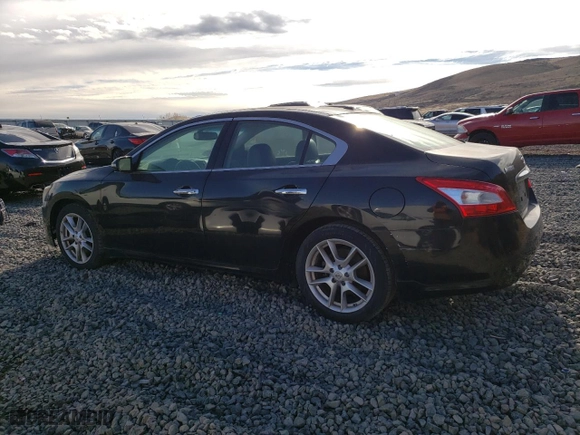 2009 Nissan Maxima 3.5 SV w/Sport Pkg with VIN 1N4AA51E69C828158, listed as a Copart auction lot 42559115 with 0 mi miles and Salvage Title. Bid and sale history available at carsss.com. Image 2.