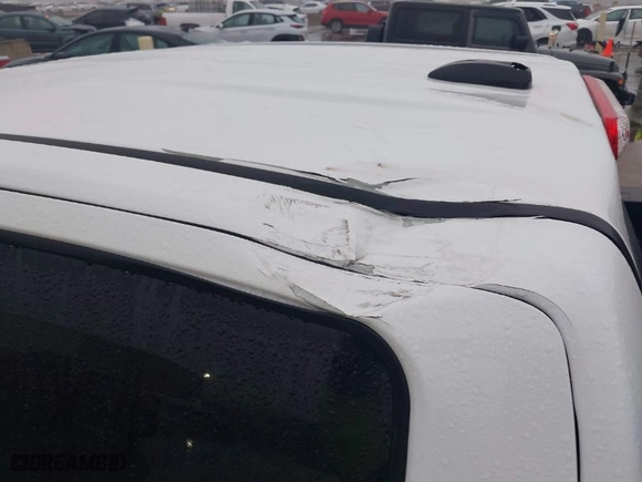 2019 Chevrolet Colorado 4WD Z71 with VIN 1GCGTDEN3K1317883, listed as a IAAI auction lot 41439010 with 34,306 mi miles. Bid and sale history available at carsss.com. Image 20.