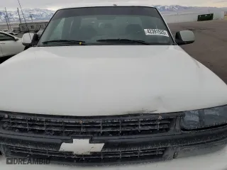 2002 Chevrolet Silverado 1500 LS with VIN 1GCEK19T82Z104382, listed as a Copart auction lot 42391525 with 0 mi miles and Salvage Title. Bid and sale history available at carsss.com. Image 12.